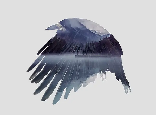 Crow Lake - Tirage d’Art – Signé / Numéroté